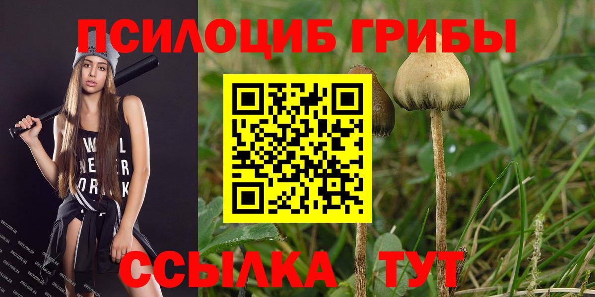 Можга  Псилоцибиновые грибы Magic Shrooms  Галлюциногенные грибы мухоморы  Вход с VPN 